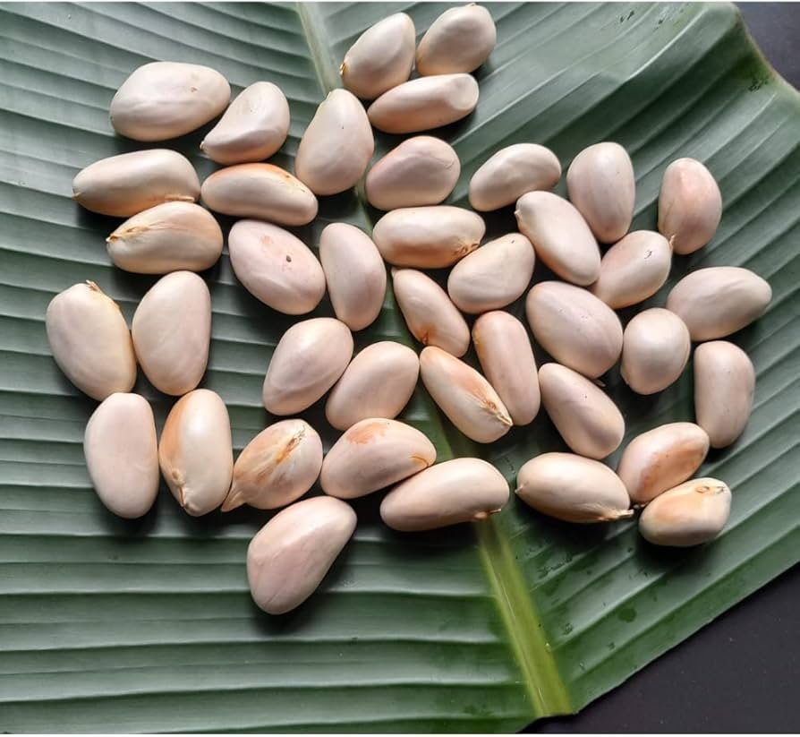 Jackfruit Seeds product photo